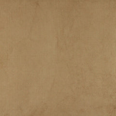 240509497.jpg