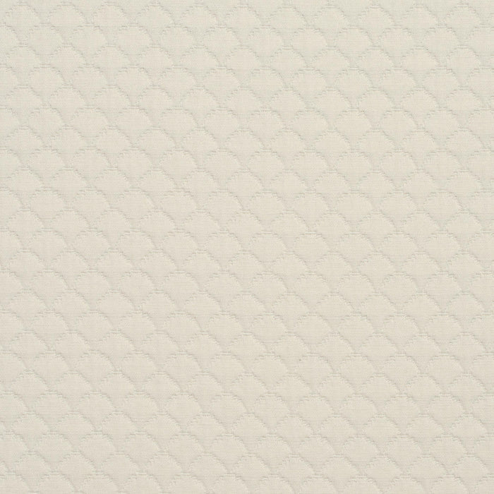 240509507.jpg