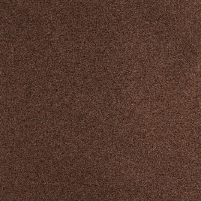 240509524.jpg