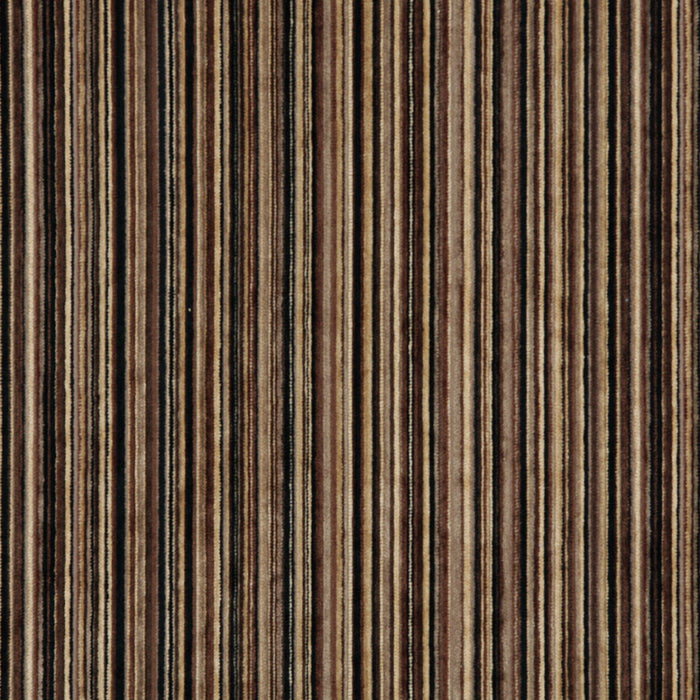 240509579.jpg