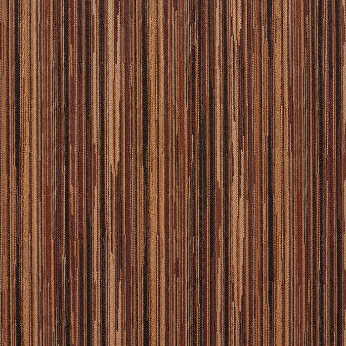 240509674.jpg