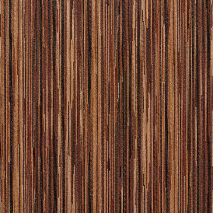 240509675.jpg