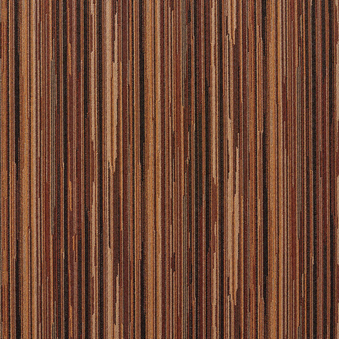 240509677.jpg