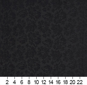 240509679.jpg