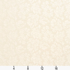 240509686.jpg