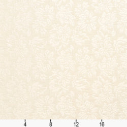 240509687.jpg