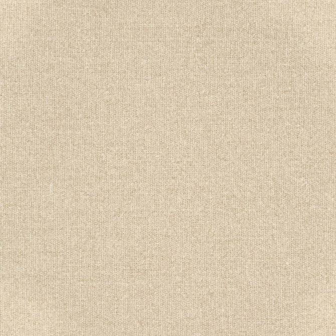 240509823.jpg