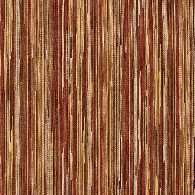 240509885.jpg