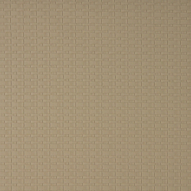 240509925.jpg
