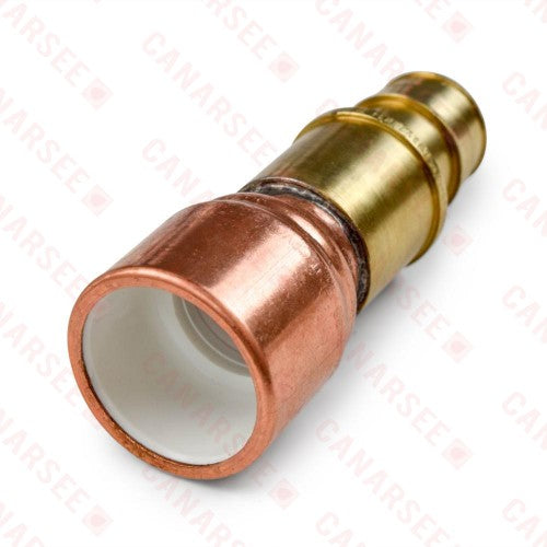 CHIEF Chief 645WG4P 1 Expansion PEX (F1960) x 1 PVC Pipe Adapter, Lead-Free