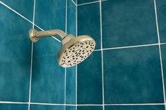 DELTA FAUCET Delta Faucet 87498-PN Brizo Showerhead 1.75 GPM