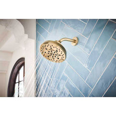 DELTA FAUCET Delta Faucet 87498-PN Brizo Showerhead 1.75 GPM