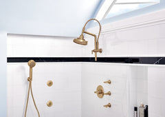 DELTA FAUCET Delta Faucet 88876-GL Brizo Invari H2OKinetic Multi-Function Wall Mount Handshower