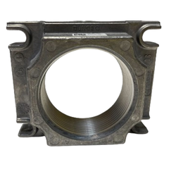 DUNGS DUNGS 221997 2-inch NPT Flange