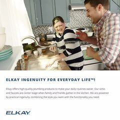 ELKAY Elkay DRKAD222065R Lustertone Classic Stainless Steel Single Bowl Drop-in Sink