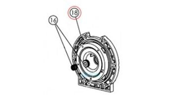 HAYWARD Hayward HCXP3000E Seal Plate