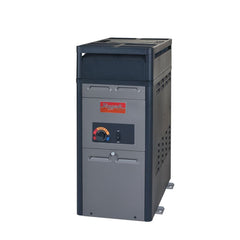 RAYPAK Raypak 014781 Analog Propane Gas Heater 106000 BTU