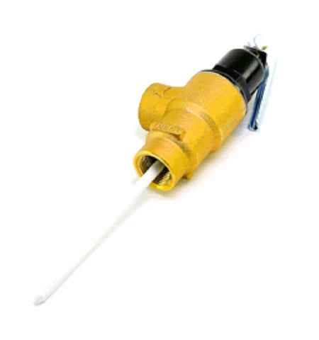 CENTURY MOTORS 100277759 RELIEF VALVES