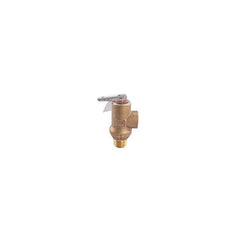 CENTURY MOTORS LF53L-150 RELIEF VALVES
