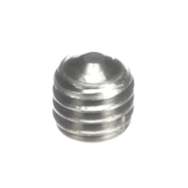 SCHAERER HEX SOCKET THREADED PIN M6X6 P INOX Replacement 3371009047 for Schaerer