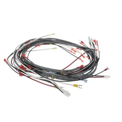 CHAMPION HARNESS WIRING DFM7.5 Replacement 0512538-1 for Champion