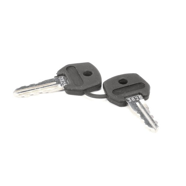 STOELTING Keys for 2 Pos Switch Replacement 719102-KY for Stoelting