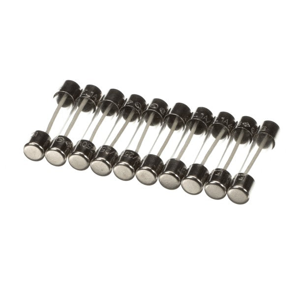 Tidel Fuse Kit 1 AMP SLO-BLO Quantity 10 Replacement 00068302S for Tidel