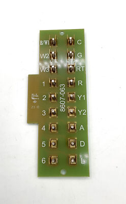 245743689.jpg