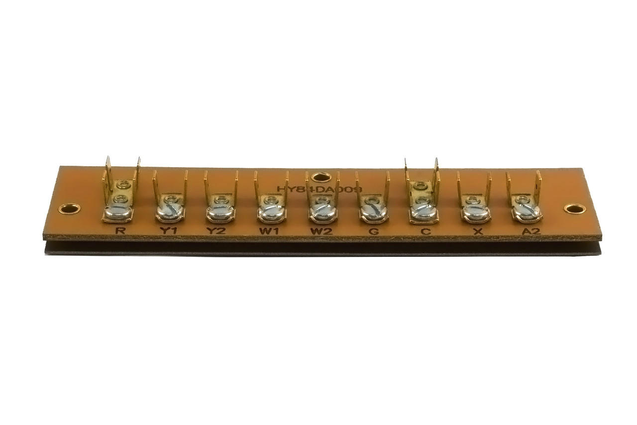 245754509.jpg