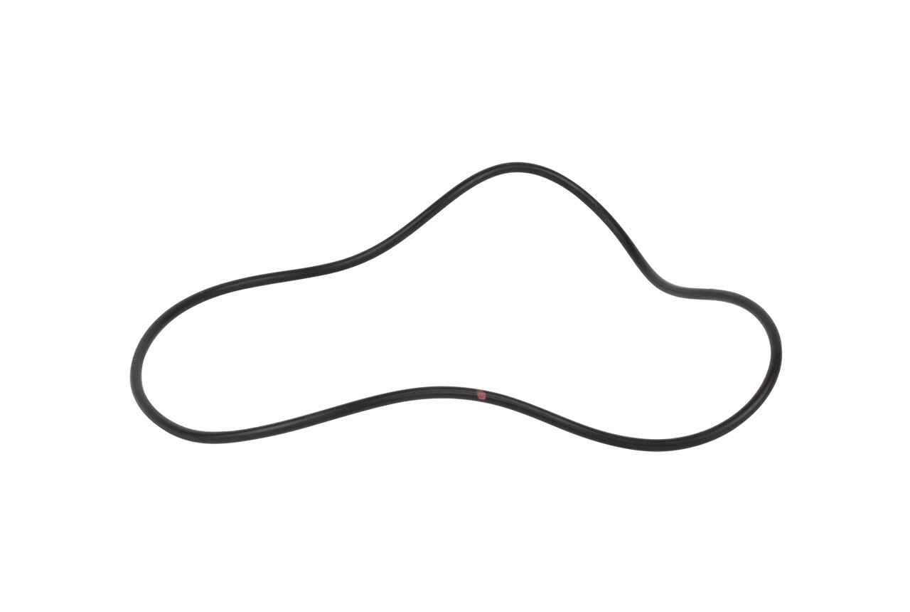 245754712.jpg
