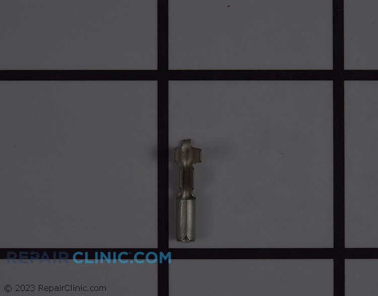 245755475.jpg