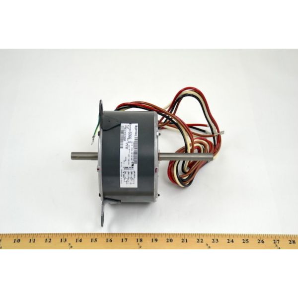 245758562.jpg