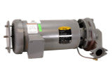 CARRIER CARRIER 38AP506303 Pump Replacement Assembly