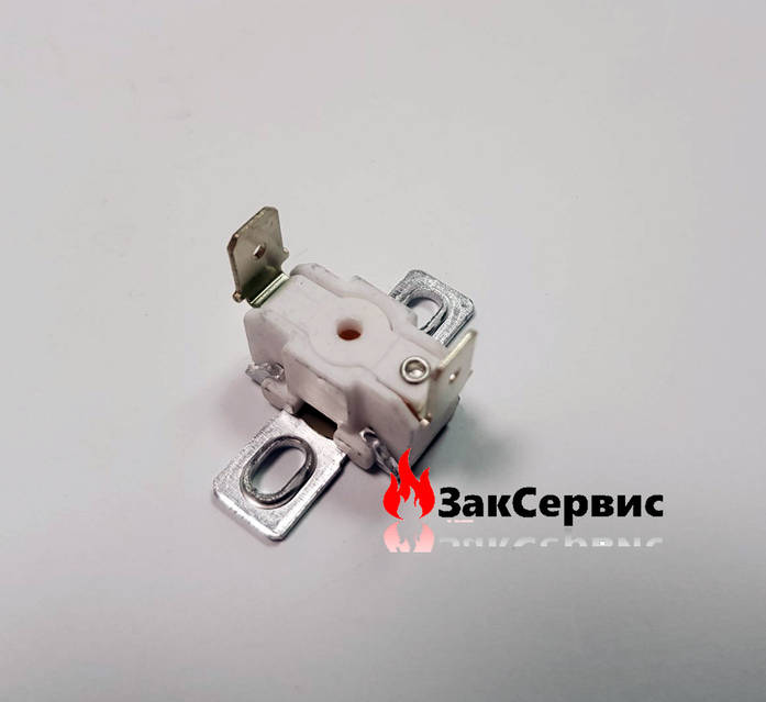 BOSCH Bosch 8738717111 Temperature Limiter