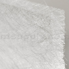 CARRIER Carrier P101-1321M Media Filter