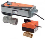 245868724.jpg