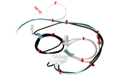 RHEEM Rheem 45-103199-08 Wiring Harness