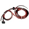 RHEEM RHEEM 45-42522-14 Wiring Harness