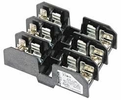 245901314.jpg