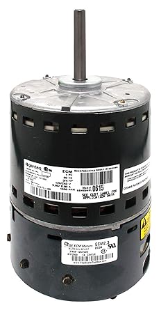 245904299.jpg