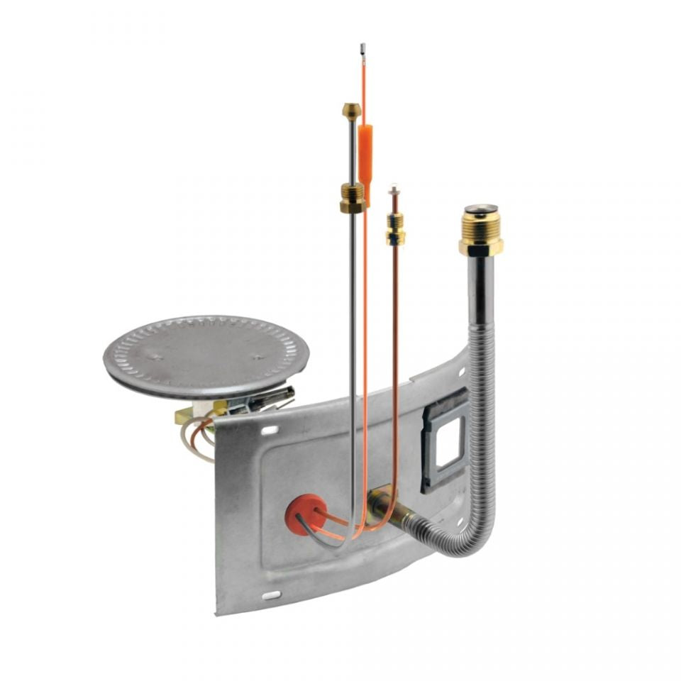 245916929.jpg