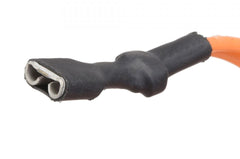 RHEEM Rheem AM39718-3 Burner Assembly GN100
