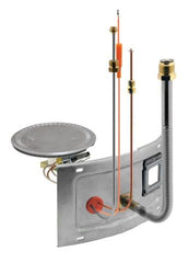 RHEEM RHEEM AM42074 Burner Assembly