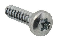 RHEEM Rheem AP12862 Torx Head Screw #8 x 3/4 Inch Long