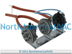 245918235.jpg