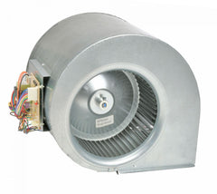 RHEEM RHEEM AS-101885-02 Rheem Blower Assembly