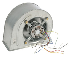 RHEEM Rheem AS-104887-05 Blower Assembly