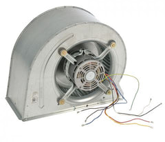 RHEEM Rheem AS-104887-05 Blower Assembly