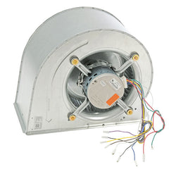 RHEEM Rheem AS-105812-11 Blower Assembly