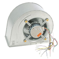 RHEEM Rheem AS-105812-11 Blower Assembly